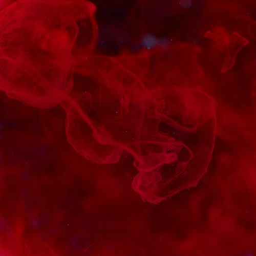 Eine Nahaufnahme von gesunden menschlichen roten Blutkörperchen, die in einer tiefroten Flüssigkeit schwimmen und eine lebendige, fließende Struktur zeigen.